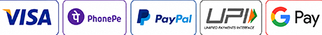 Visa, PhonePay, PayPal, UPI and Google Pay accepted
